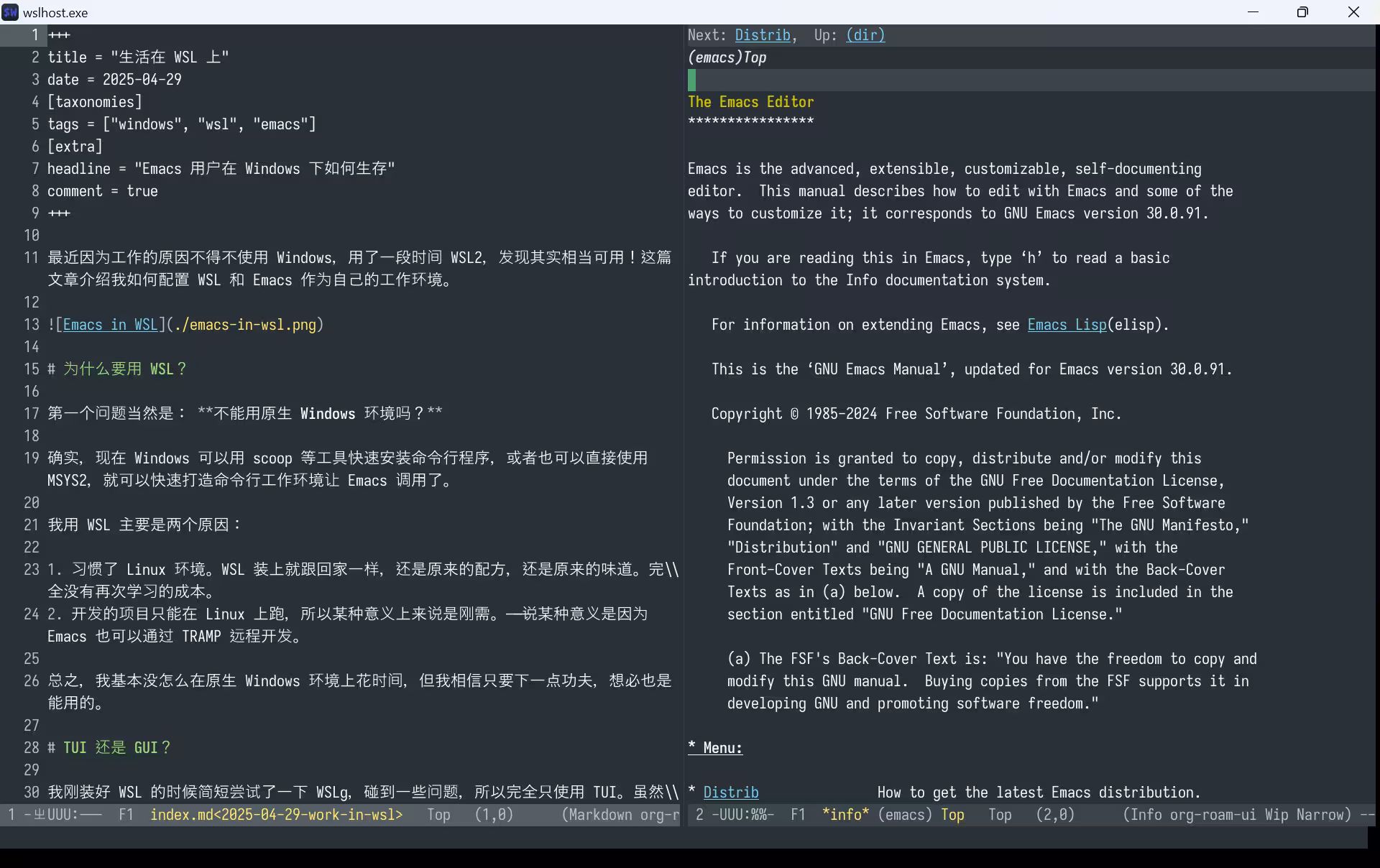 Emacs in WSL