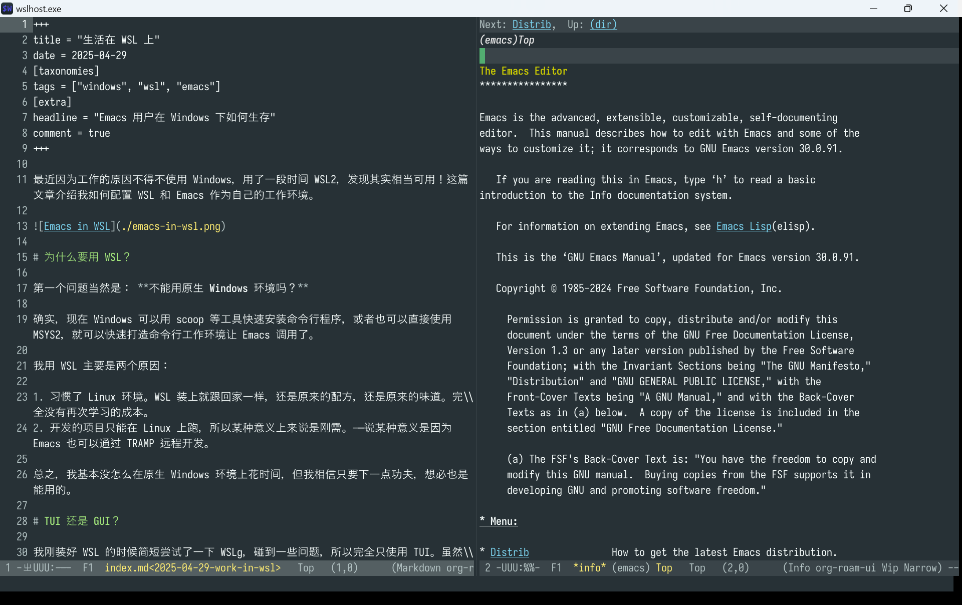 Emacs in WSL